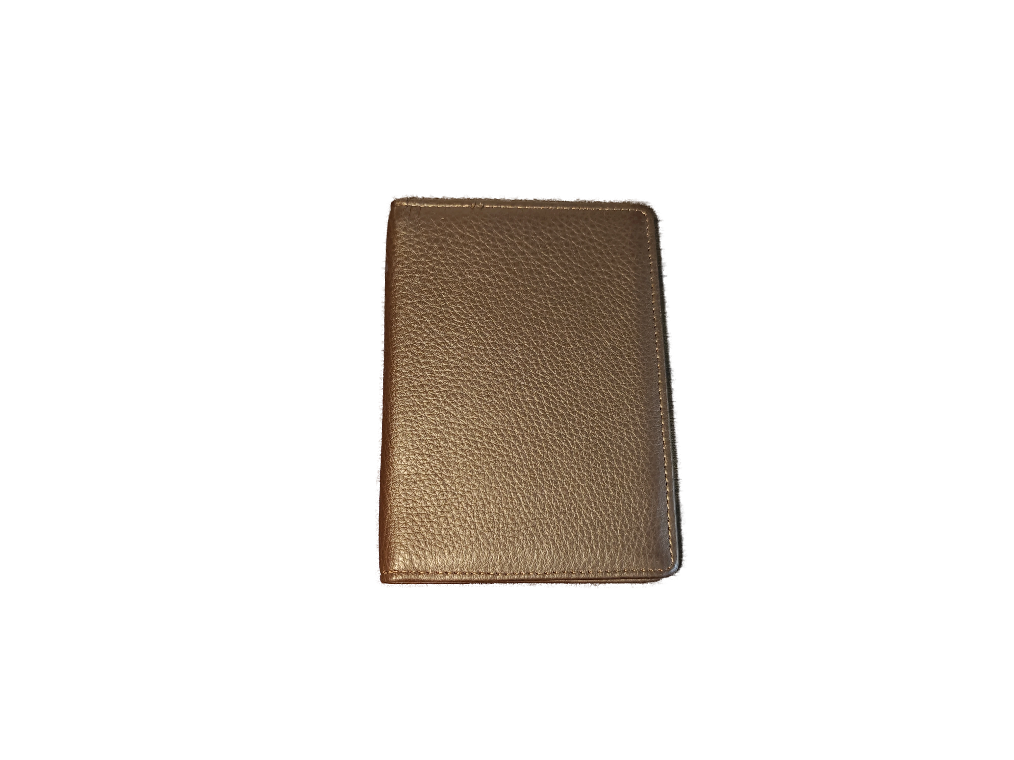 PASSPORT CS P015